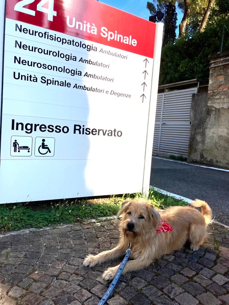Associazione G.Borgogni - Pet Therapy 2