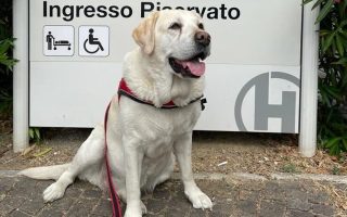 Associazione G.Borgogni - Pet Therapy